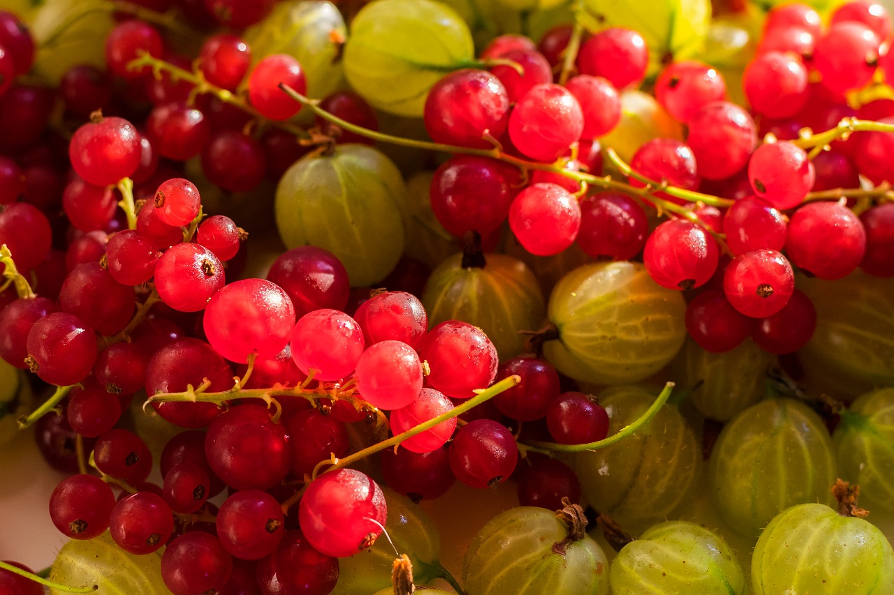 Image - fruit berries fruits vitamins