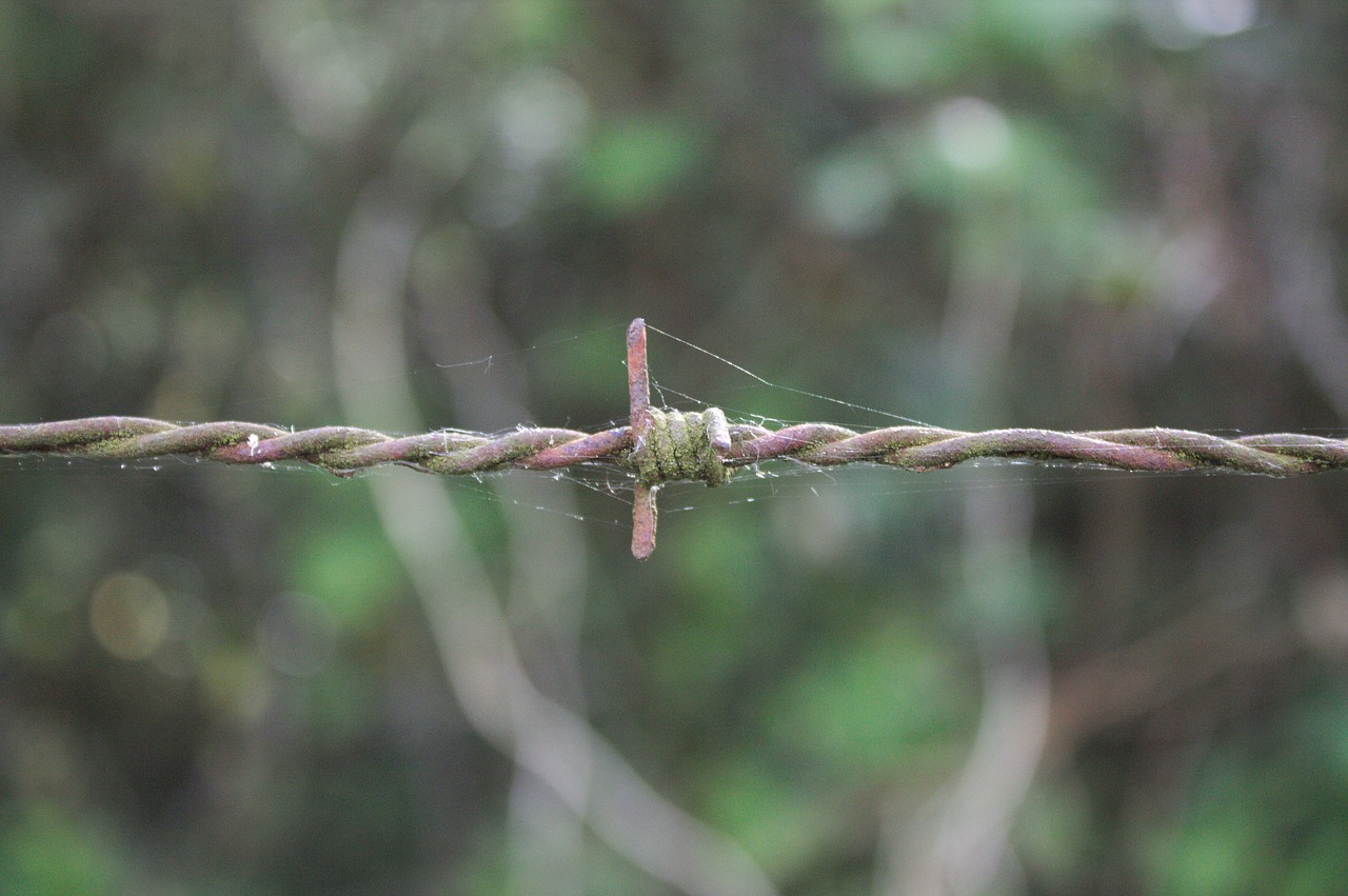 Image - barbed wire closing rusty iron