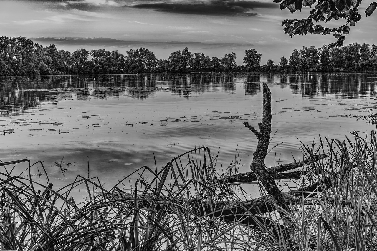 Image - lake black white still life nature