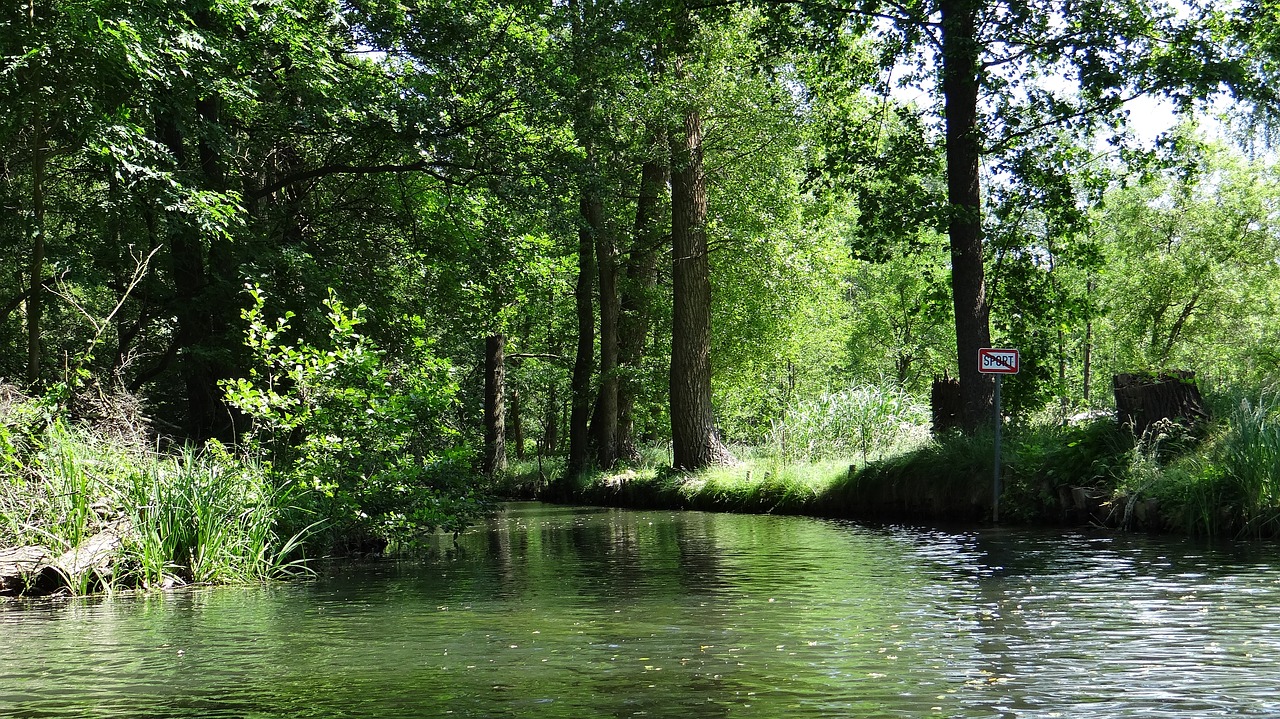 Image - spreewald depth landscape spree