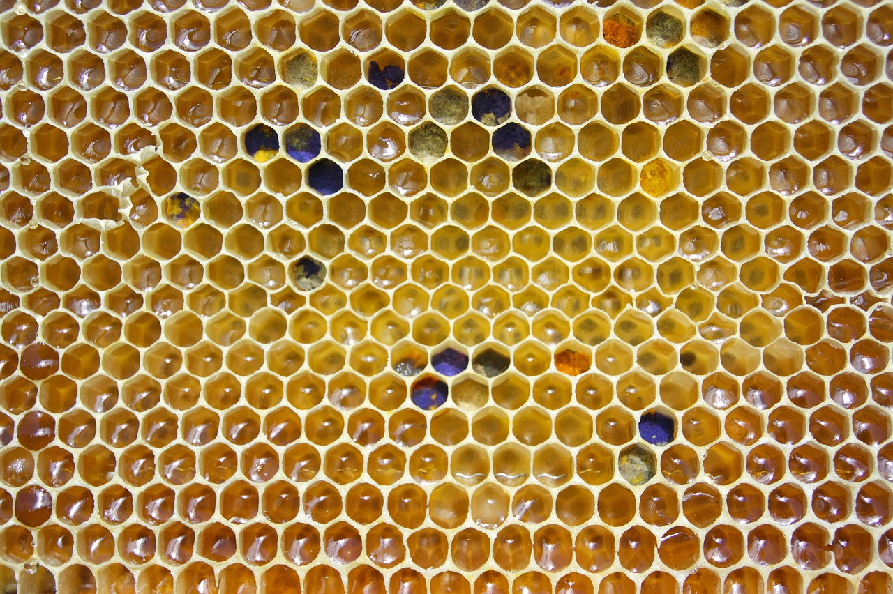 Image - honey comb pollen hexagon