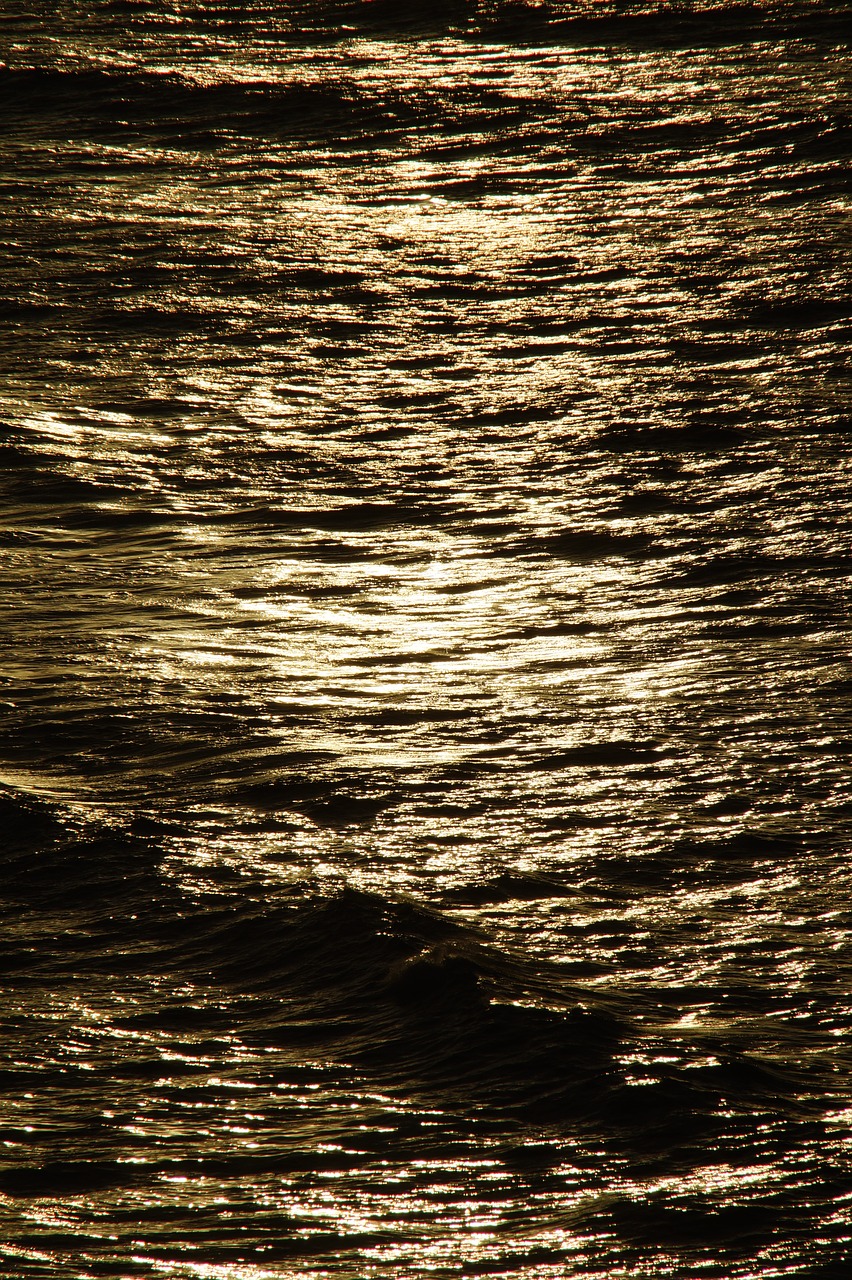 Image - structure texture background sea