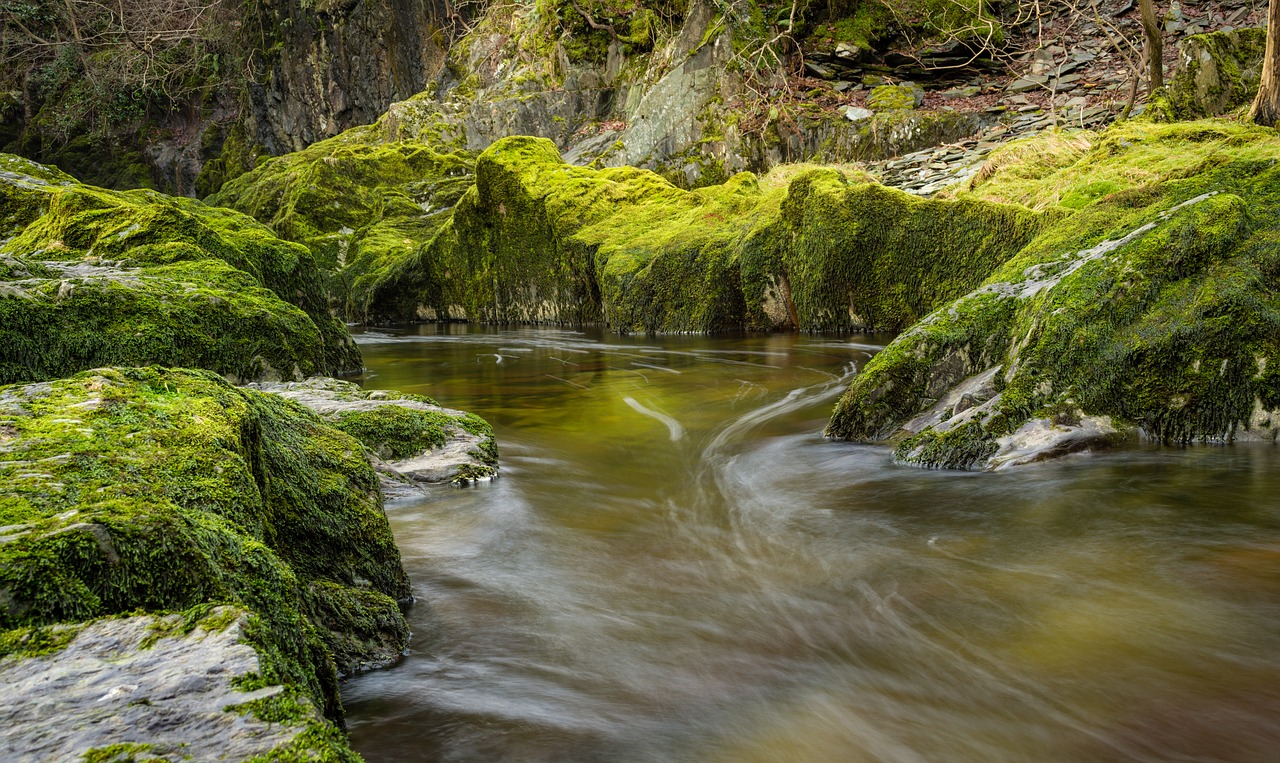 Image - ingleton waterfall trail moss