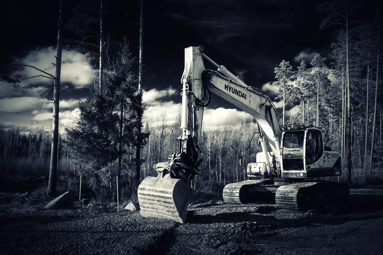 Image - excavator forest