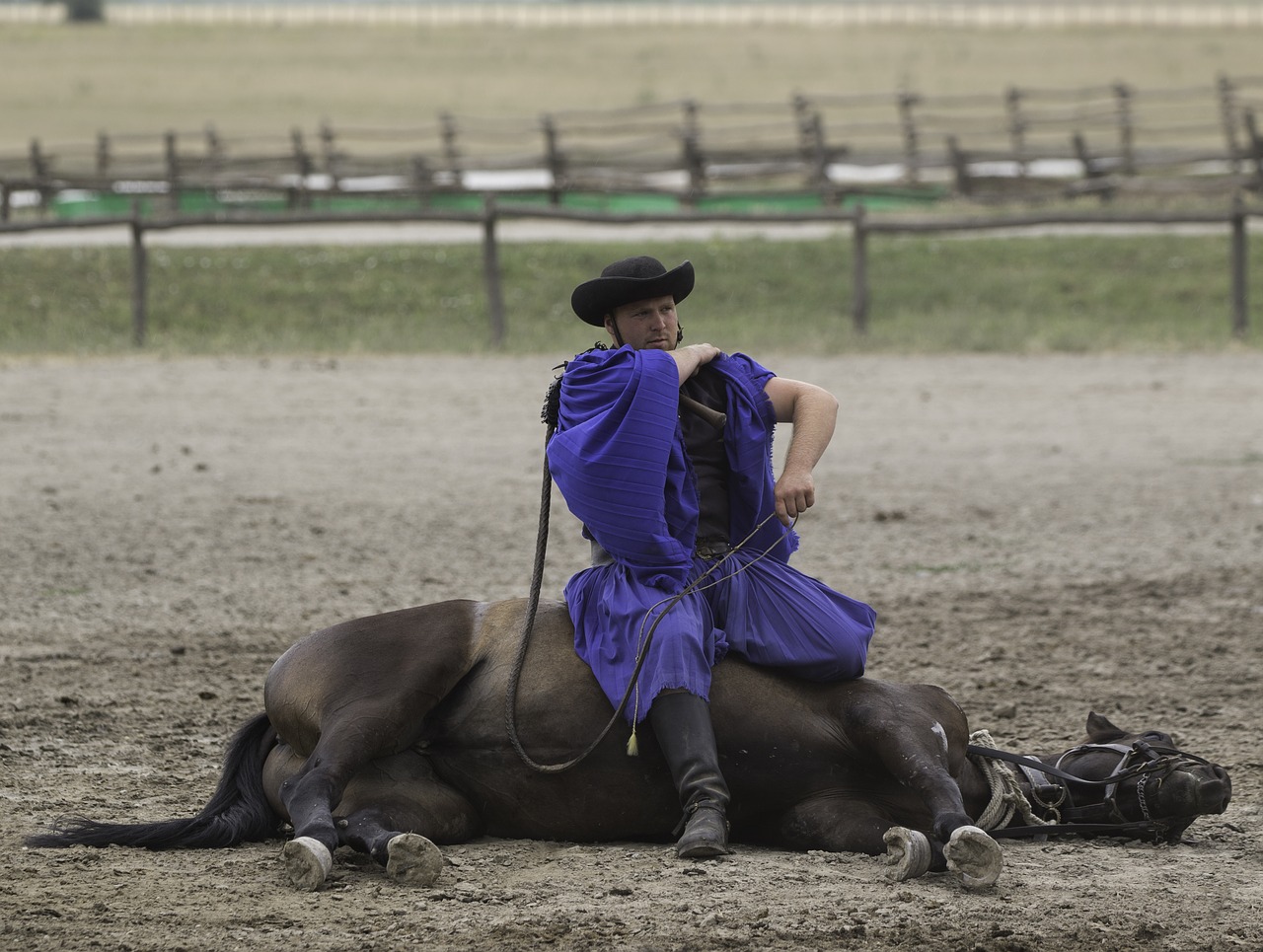 Image - puszta horse farm hungary