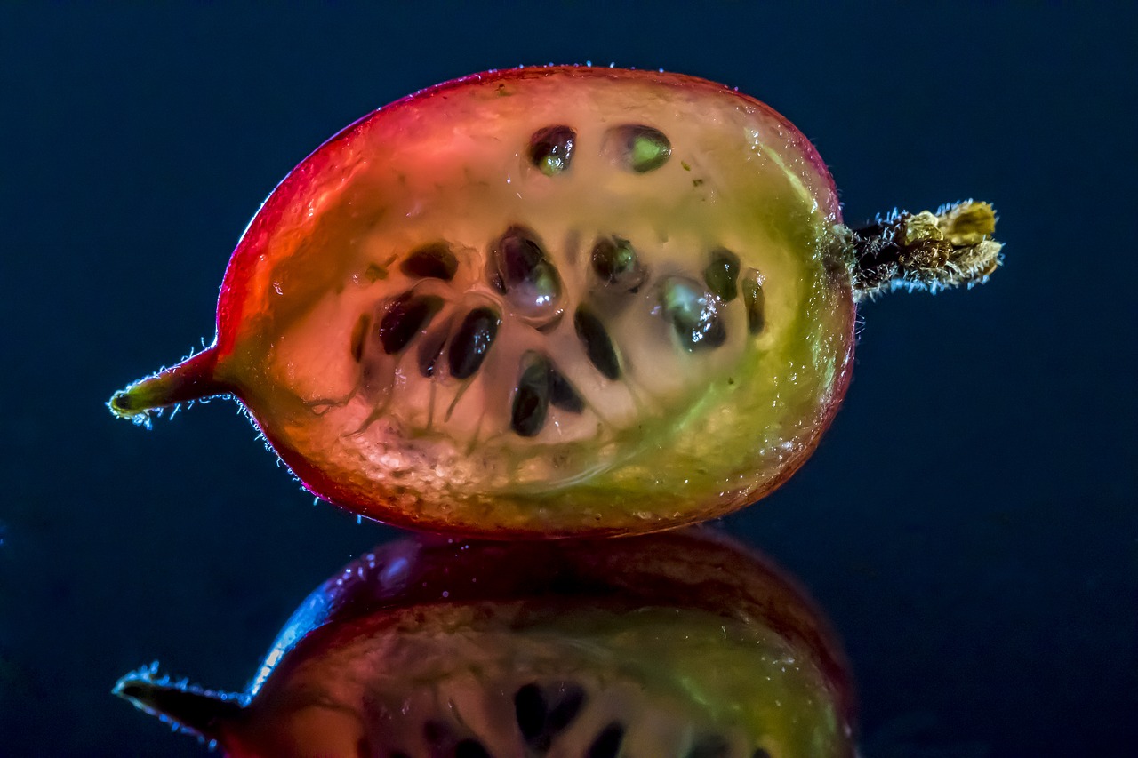 Image - gooseberry groseillier berry fruit