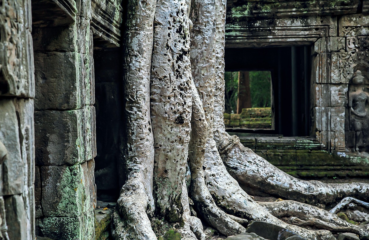 Image - angkor wat campo asia