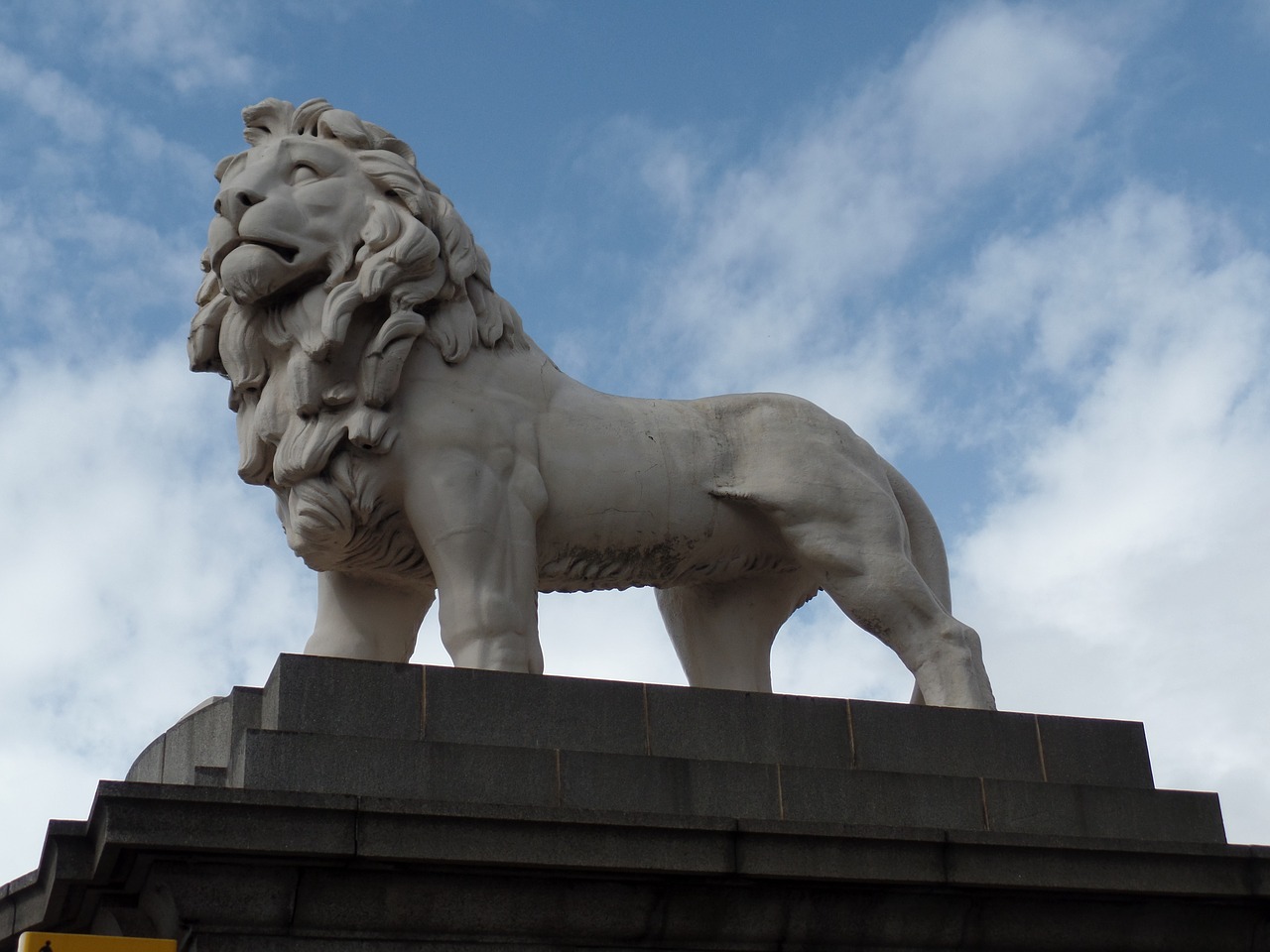 Image - lion london image