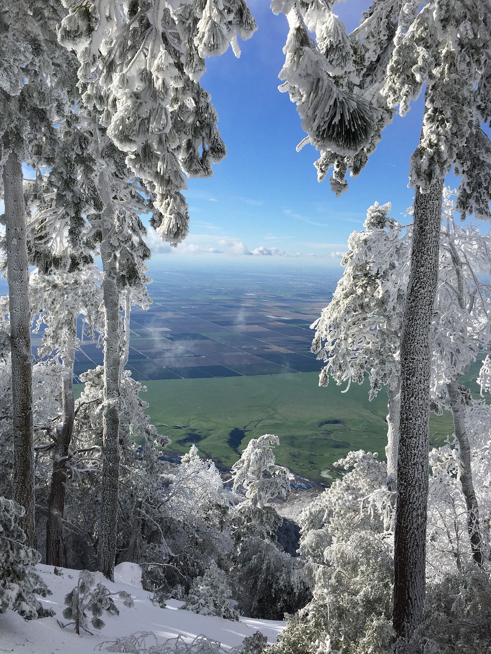 Image - distance tree view sky snow frost