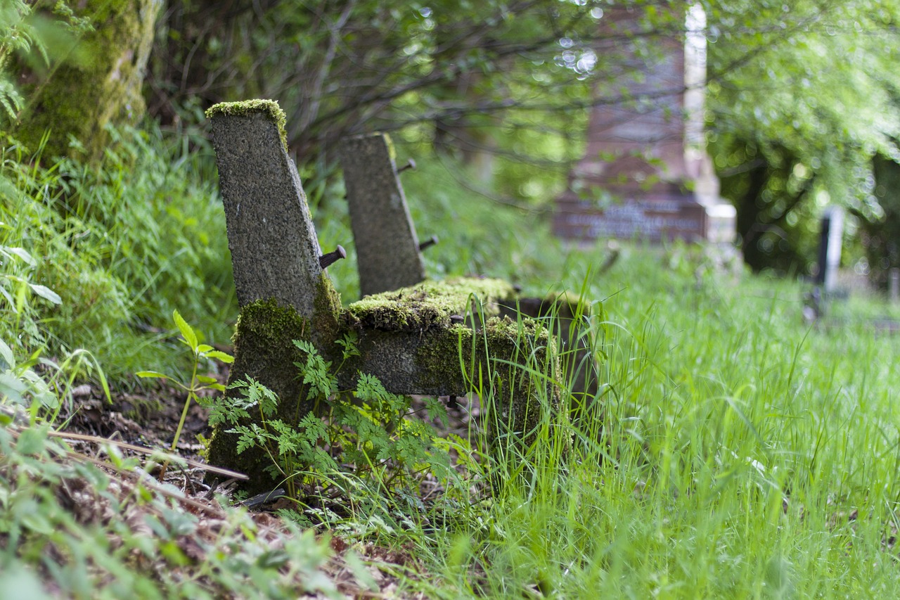 Image - graveyard bench seat cemetery