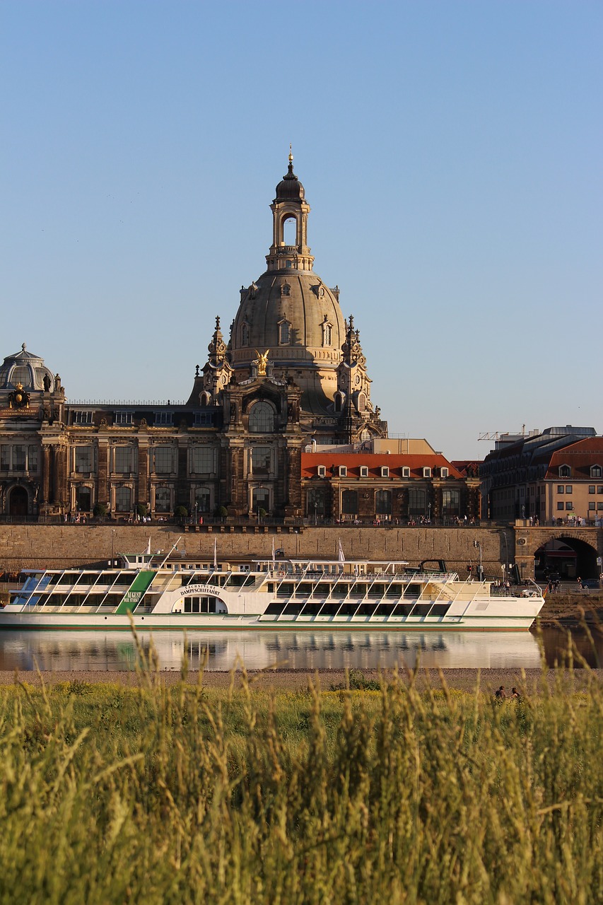 Image - dresden elbe grass sun day