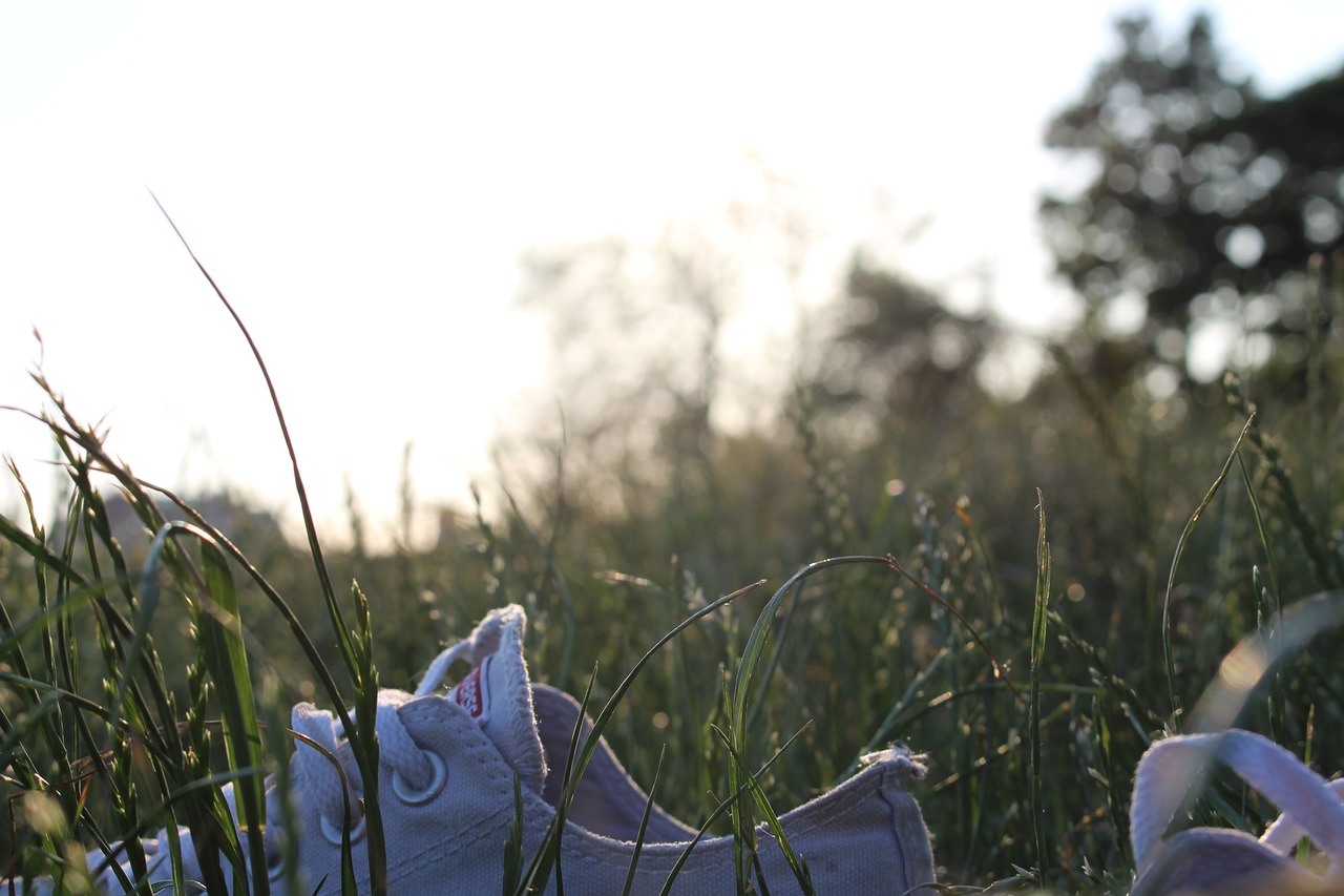 Image - dresden elbe sun day shoes