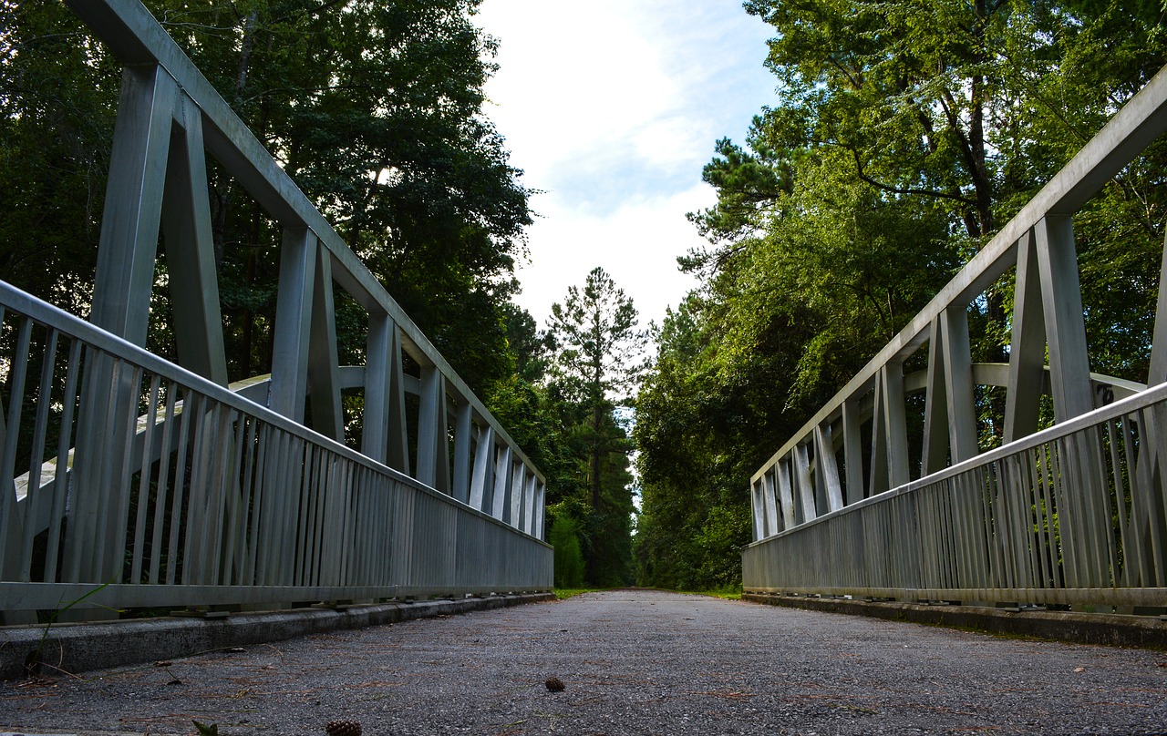 Image - bridge trail nature outdoor