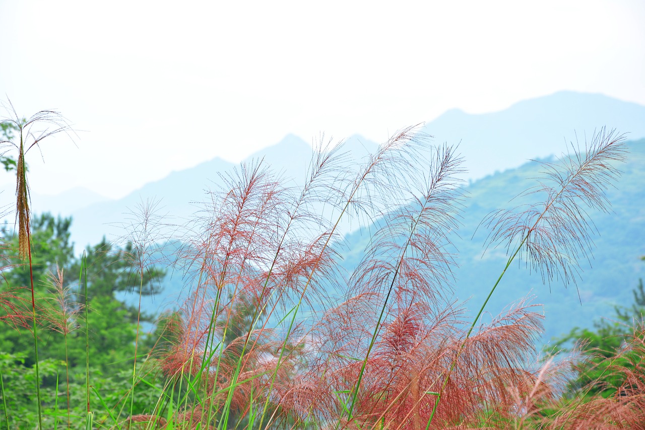 Image - the scenery zhai liao creek mountain