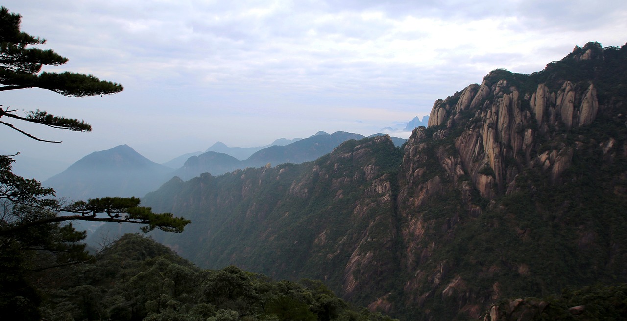 Image - the scenery mountain pine mist