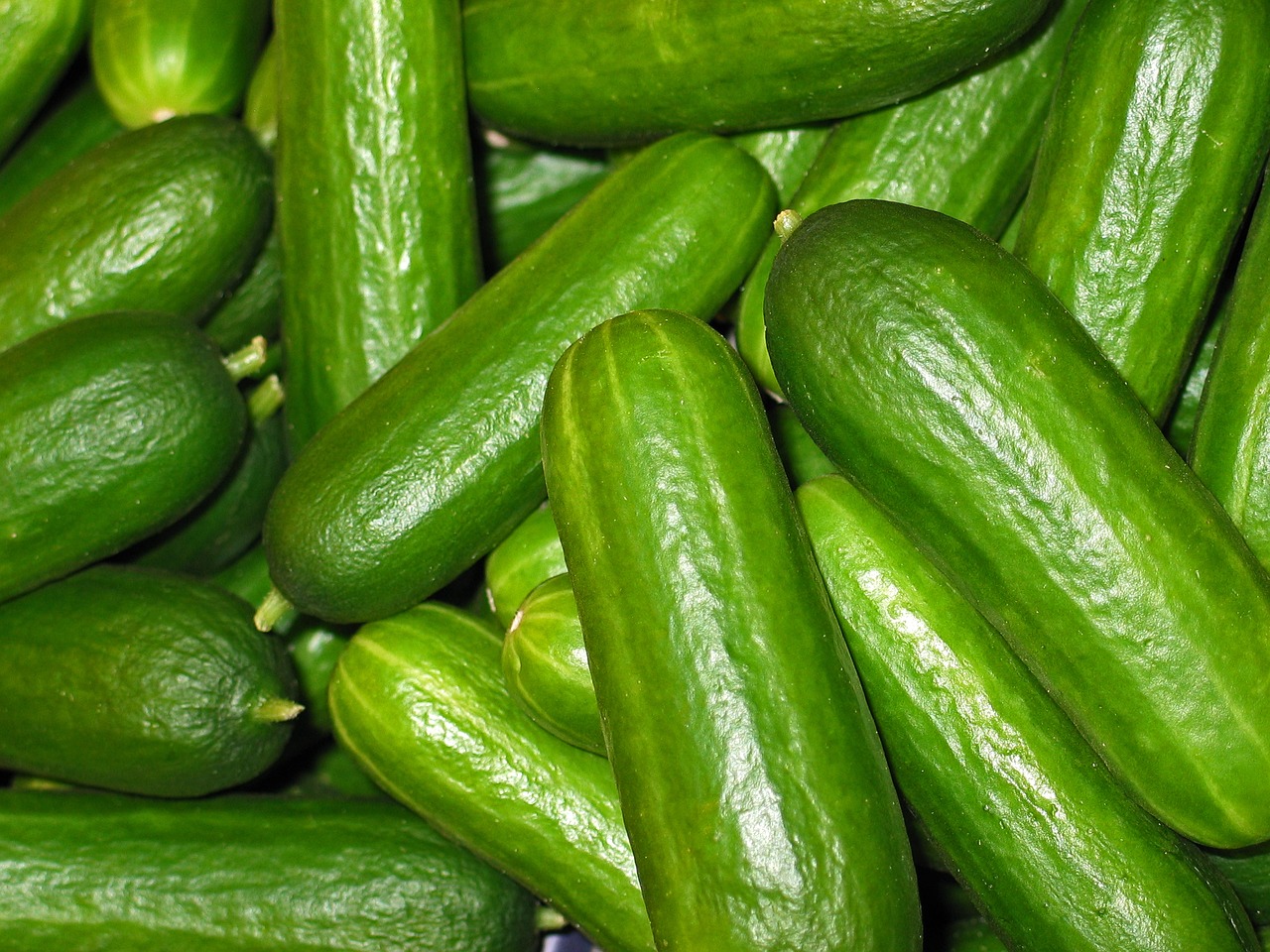 Image - cucumbers vegetables cucumber