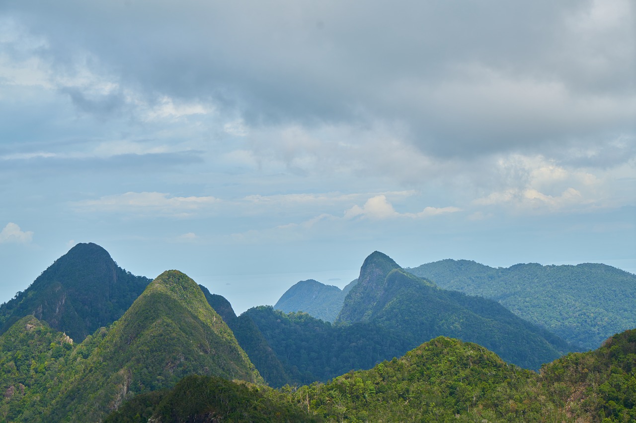 Image - mountain forest landscape high