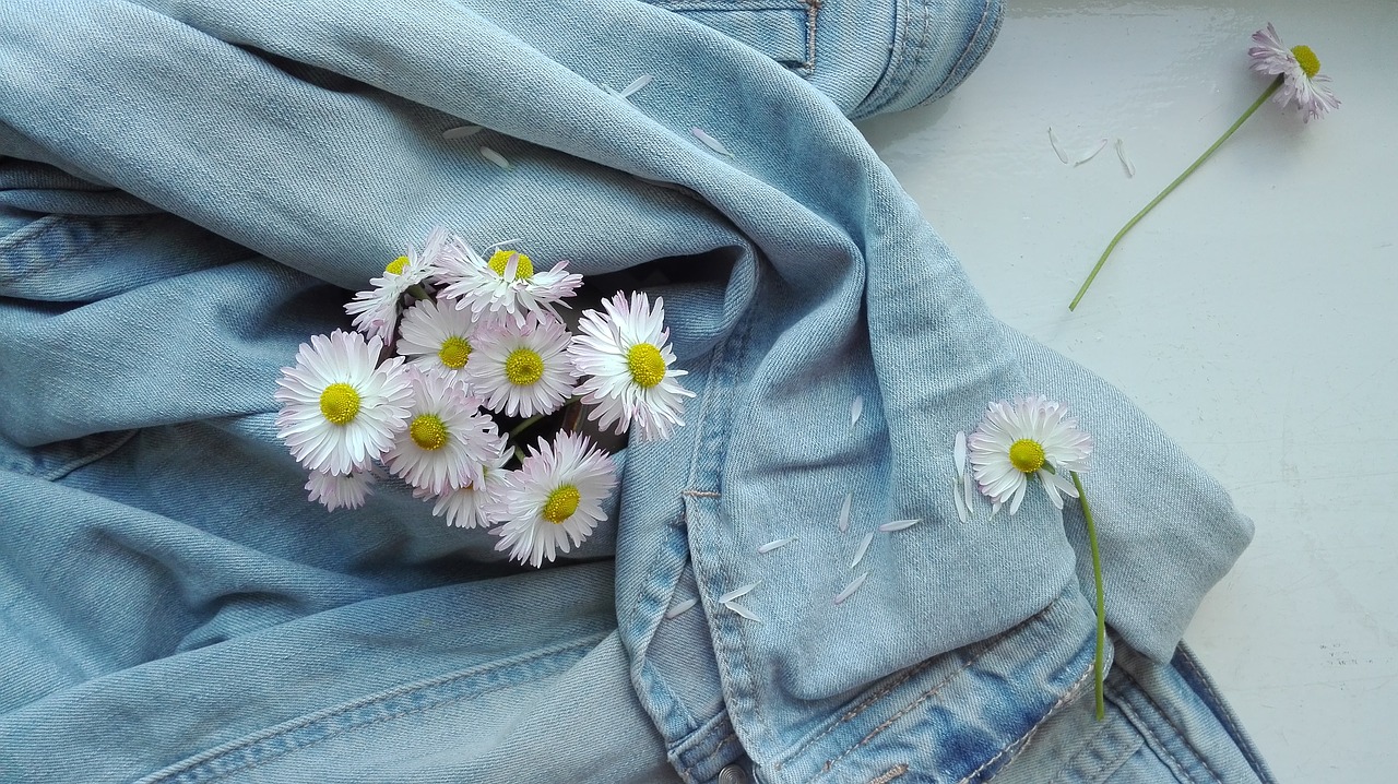 Image - summer jeans daisies flowers