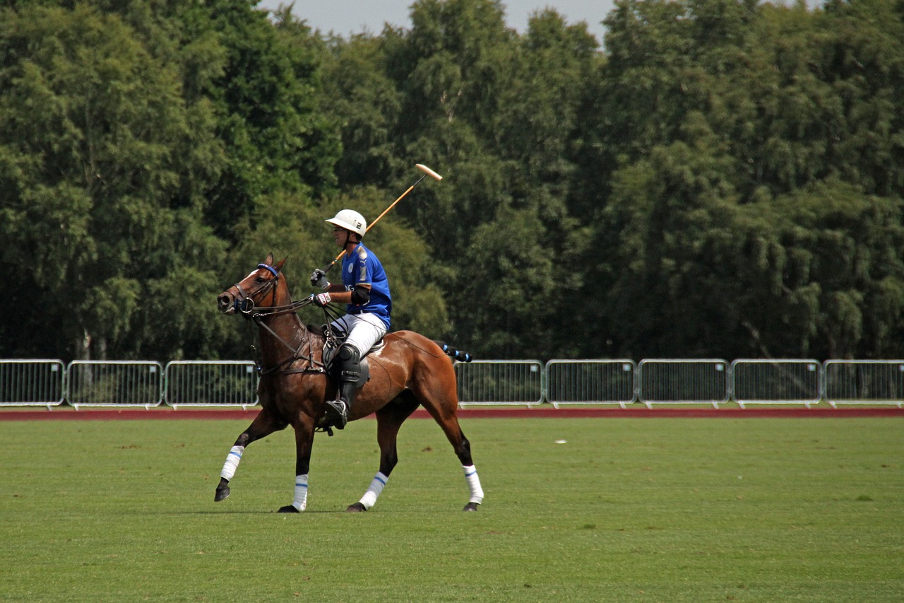 Image - polo horses competition england