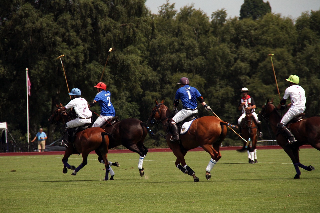 Image - polo horses competition england