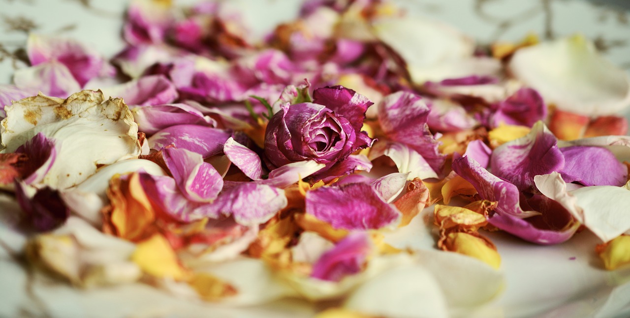 Image - rose petals roses fragrance