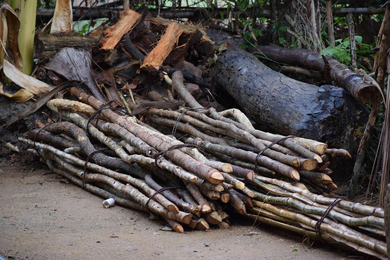 Image - wood jungle save odisha cutting