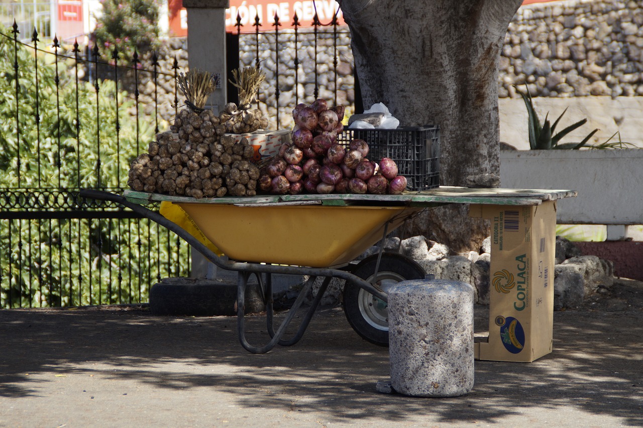Image - wheelbarrow sell agriculture