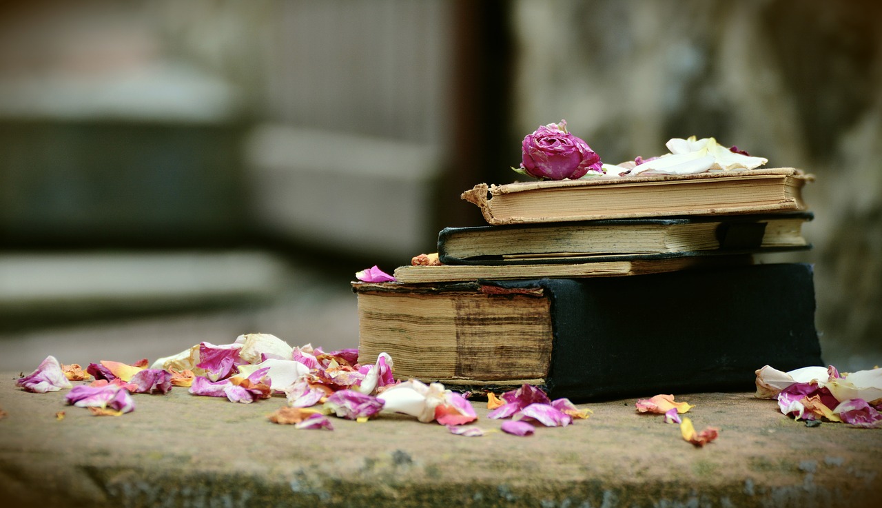 Image - books old books antiquariat used