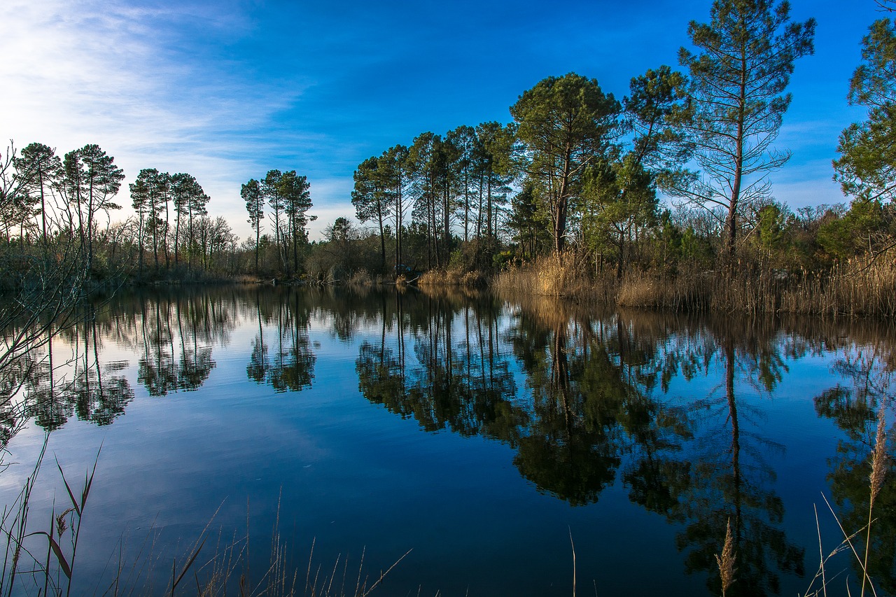Image - arcachon basin sunset reflections