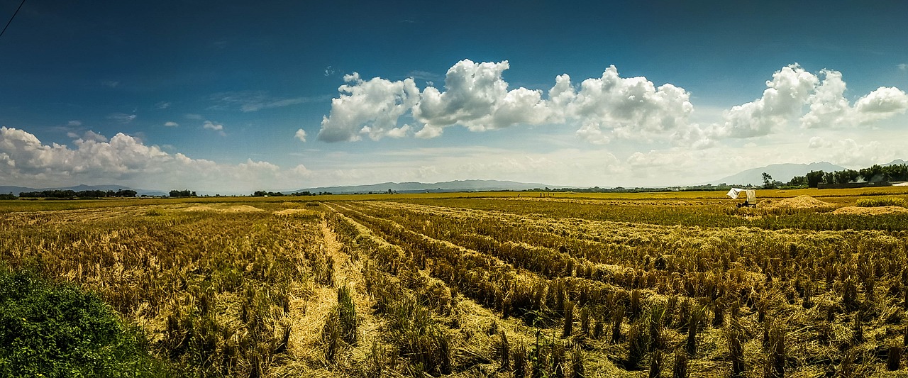 Image - irrigation paddy northsumatera