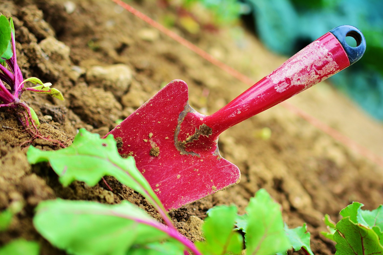 Image - gardening garden blade plant