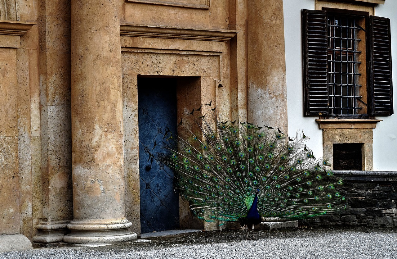 Image - peacock lock castle eggenberg