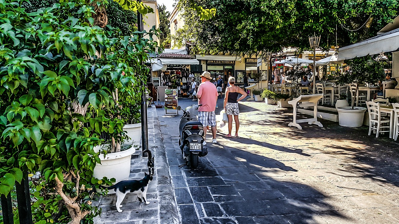 Image - rhodes greece greek stray cat