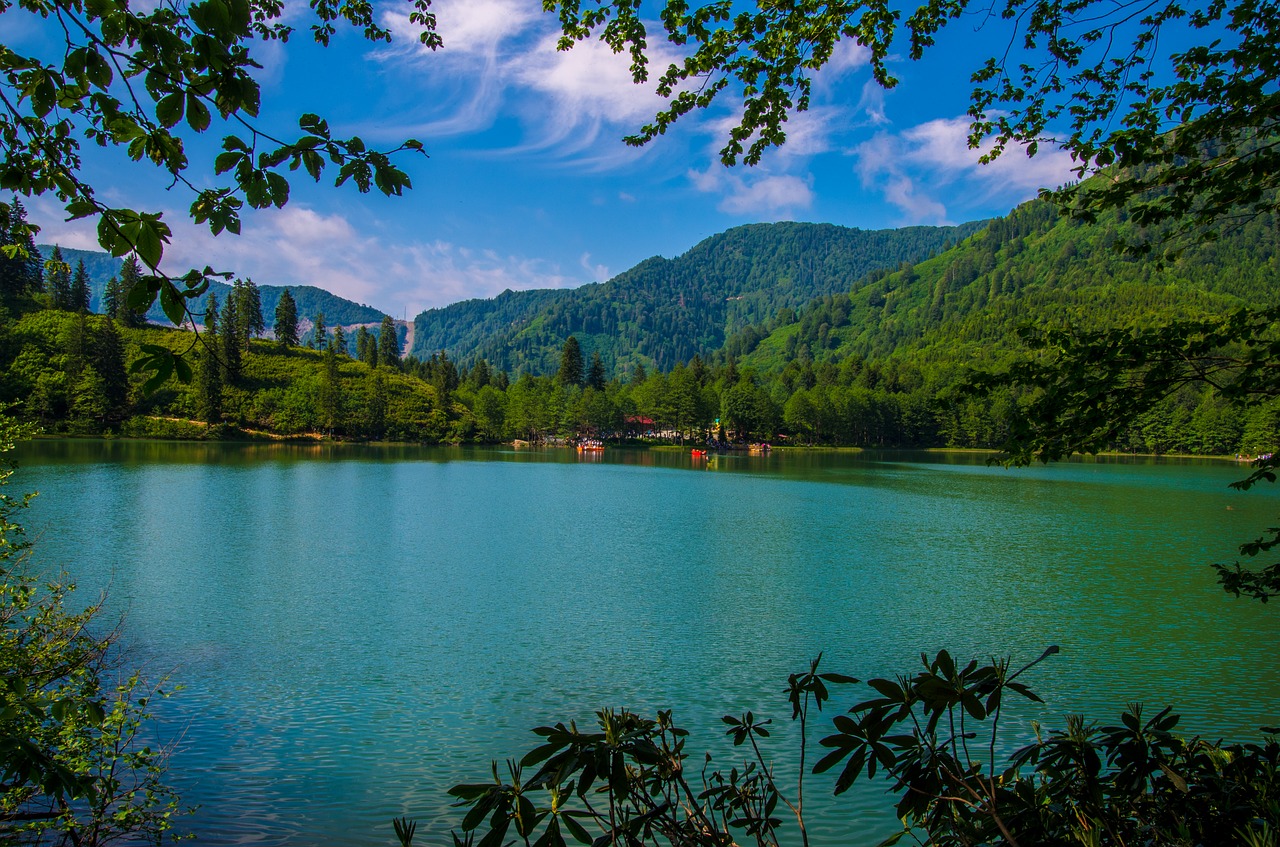 Image - lake forest green blue clouds