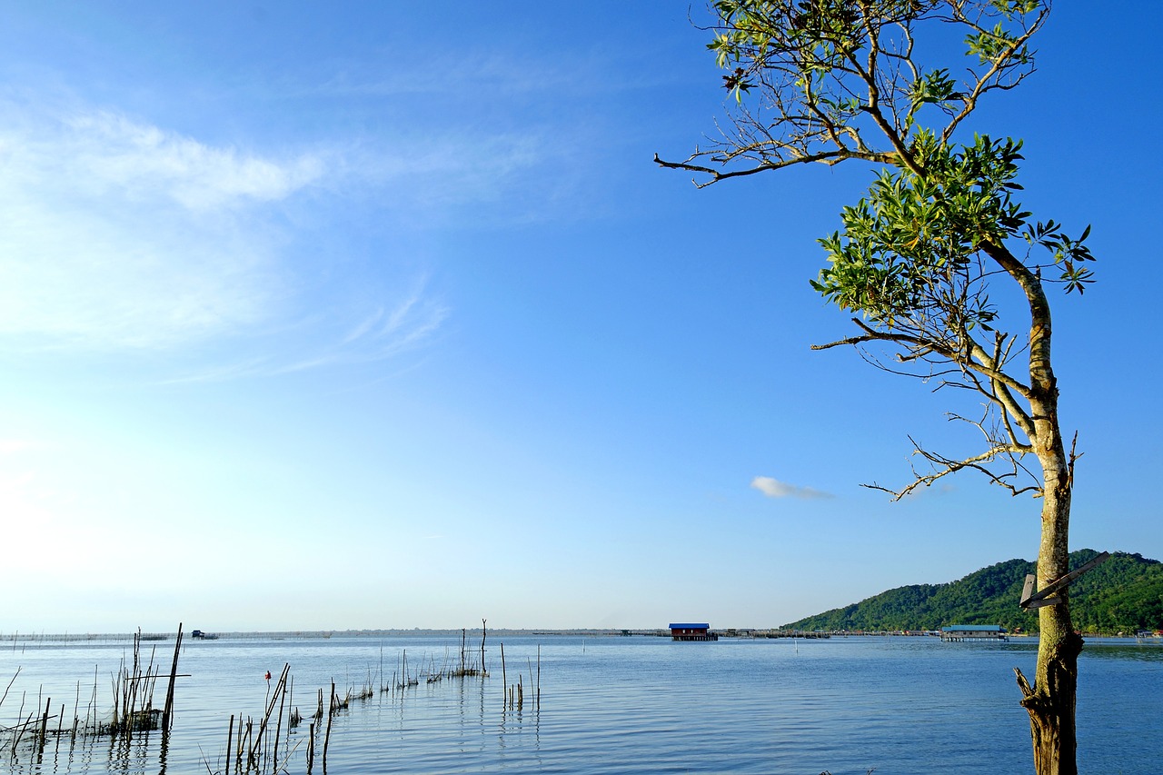 Image - asia asian blue blue sea blue sky