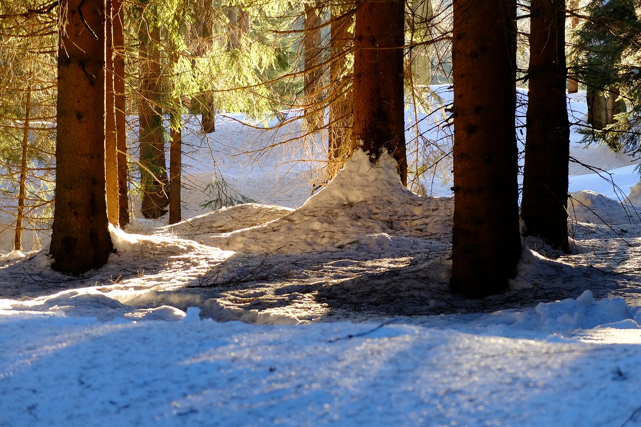 Image - mountains jizera mountains snow