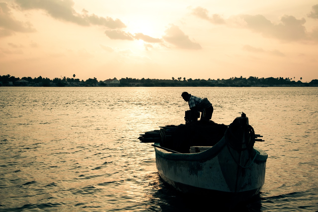 Image - sunset fishing hard working