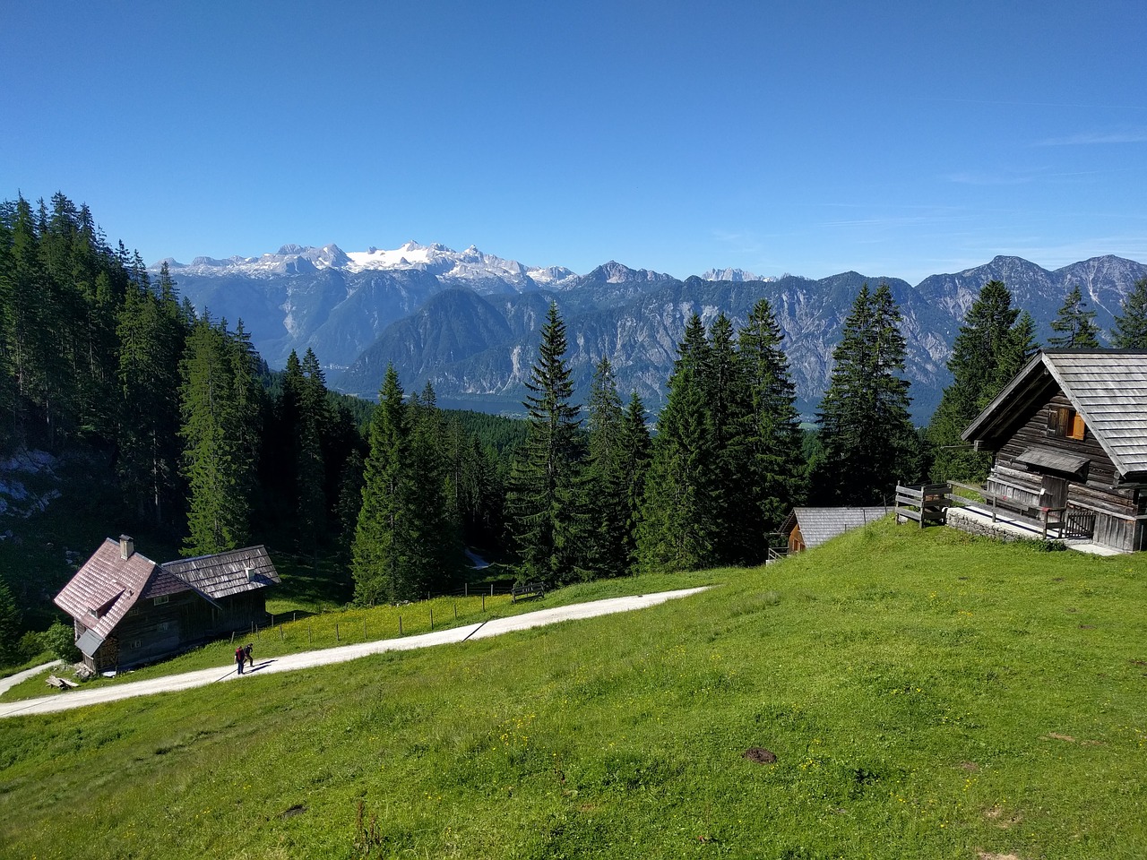 Image - alm hiking alpine meadow mountains
