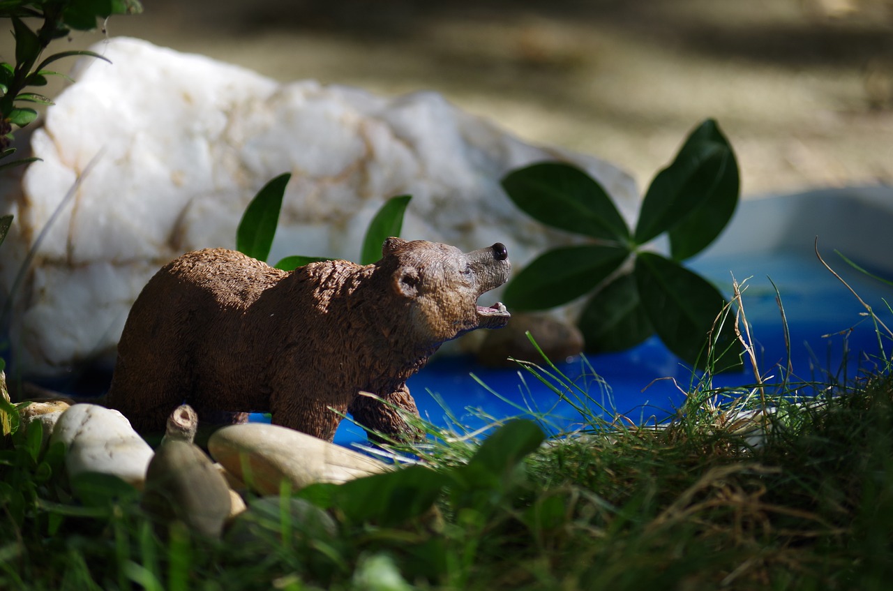 Image - animal toy still life a bear