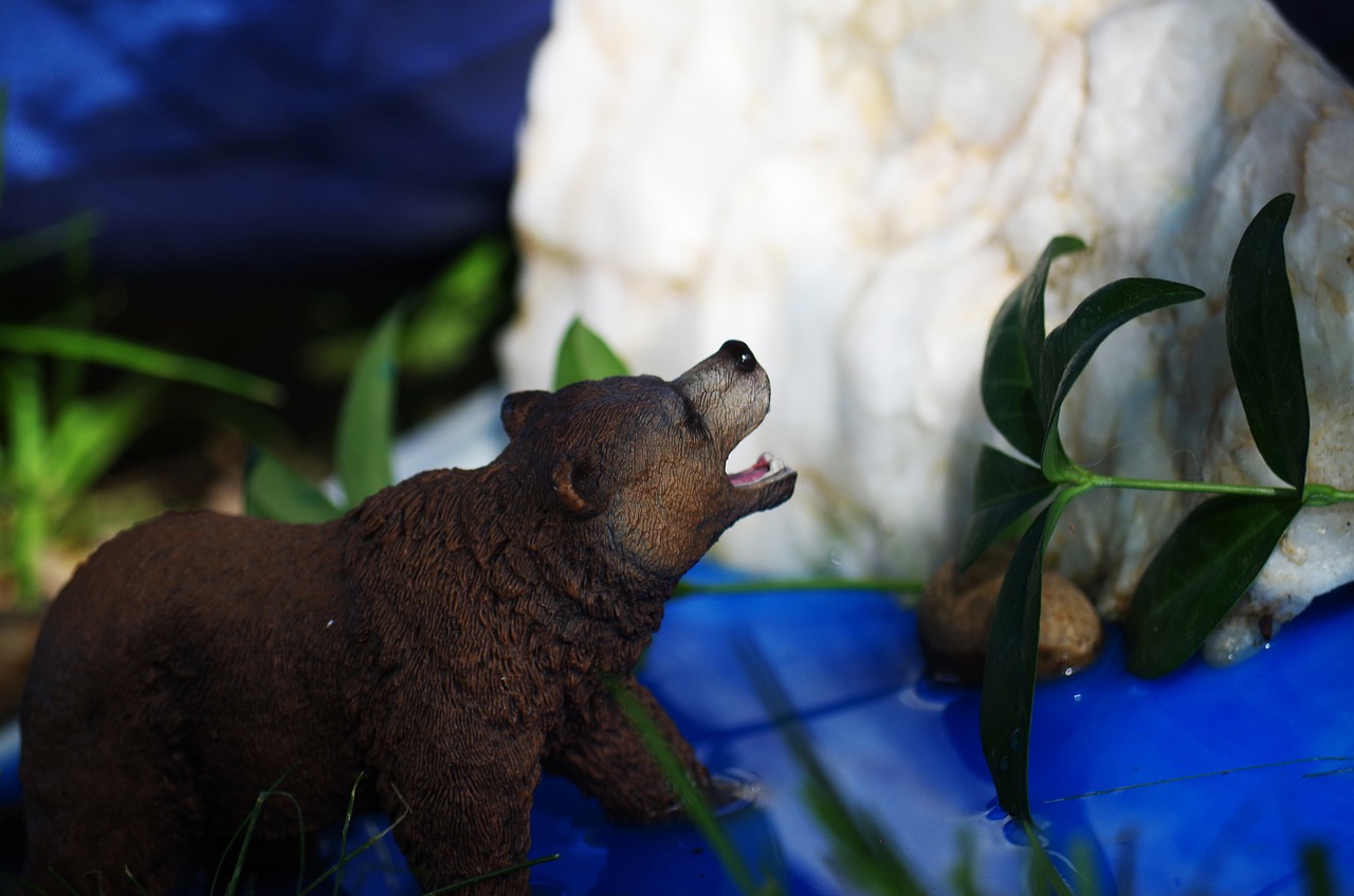 Image - animal toy still life a bear