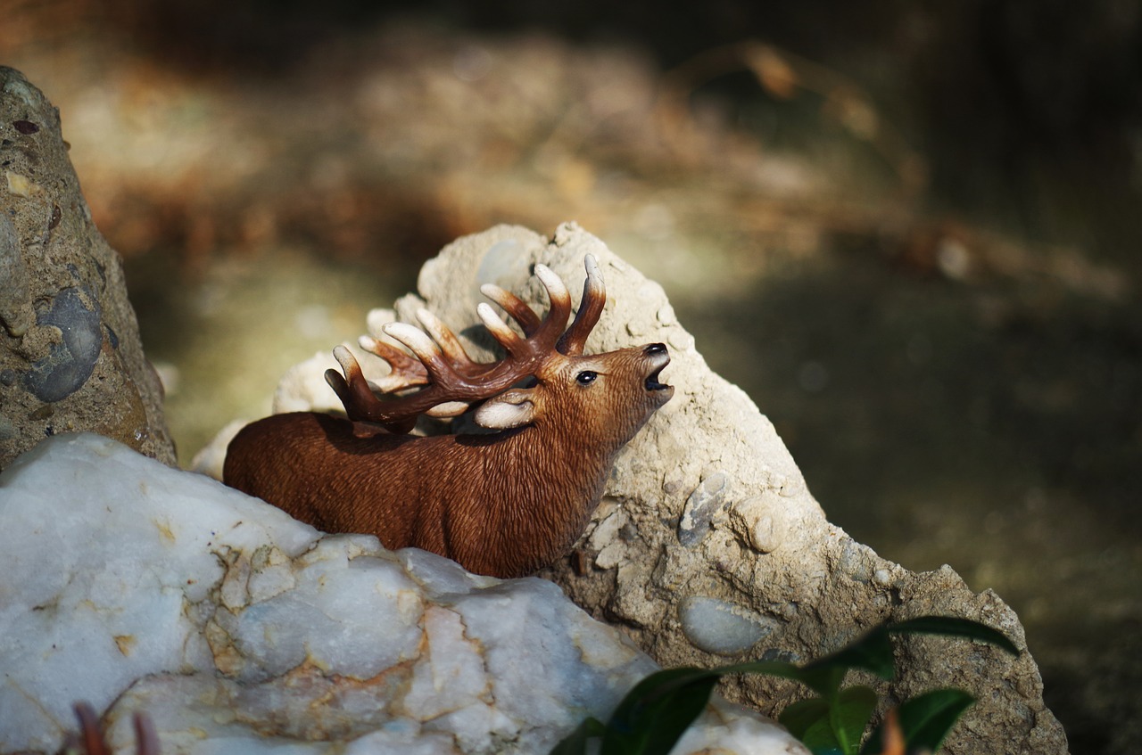 Image - animal toy still life deer doe