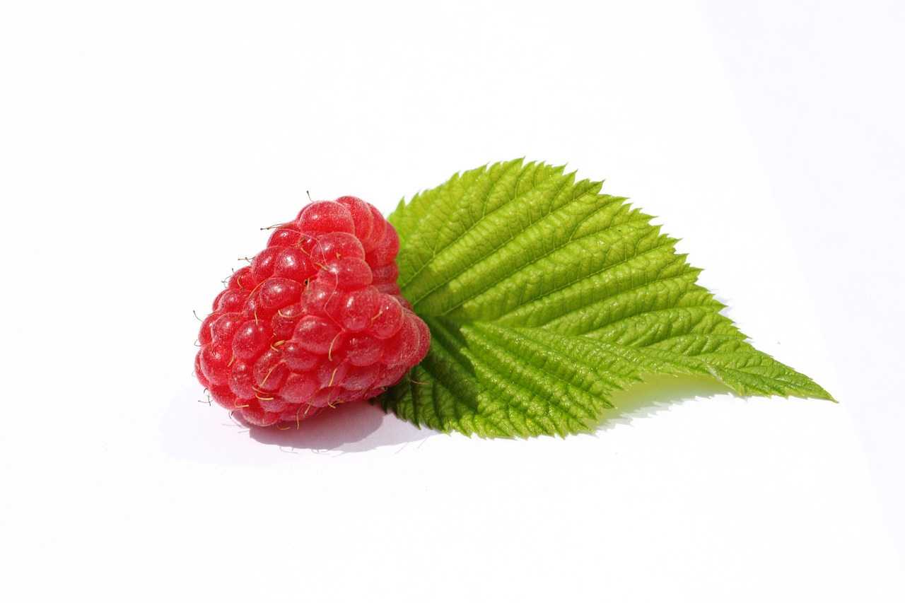 Image - raspberries leaf green berry