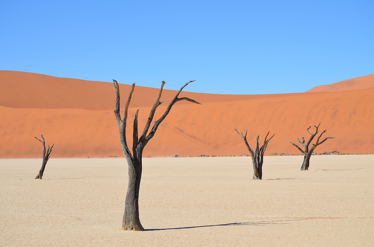 Image - sossusvlei africa namibia