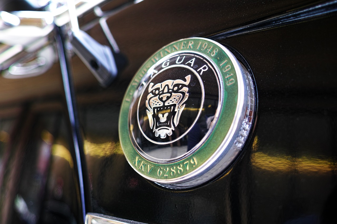 Image - jaguar car black reflection green