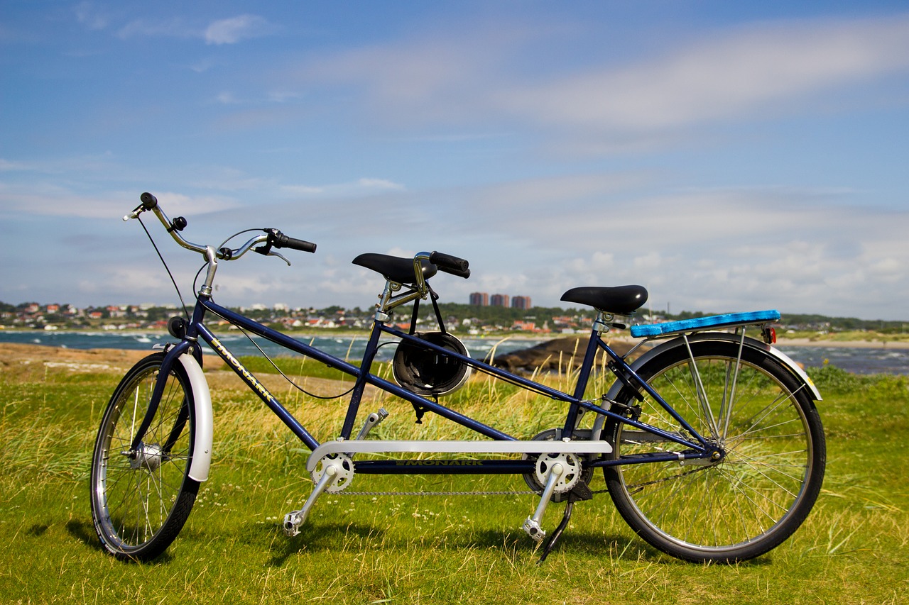 Image - tandem cycle together couple law