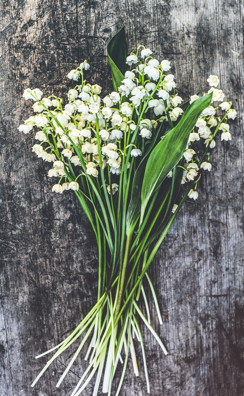 Image - lilies of the valley wood blossom