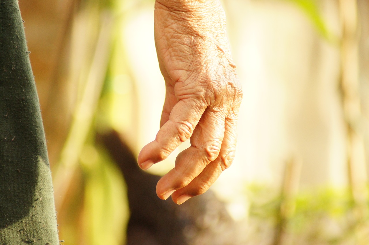 Image - the hands of the peasant finlandia