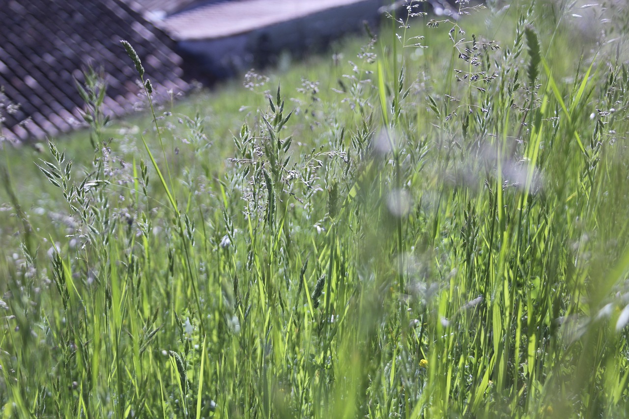 Image - countryside france nature green