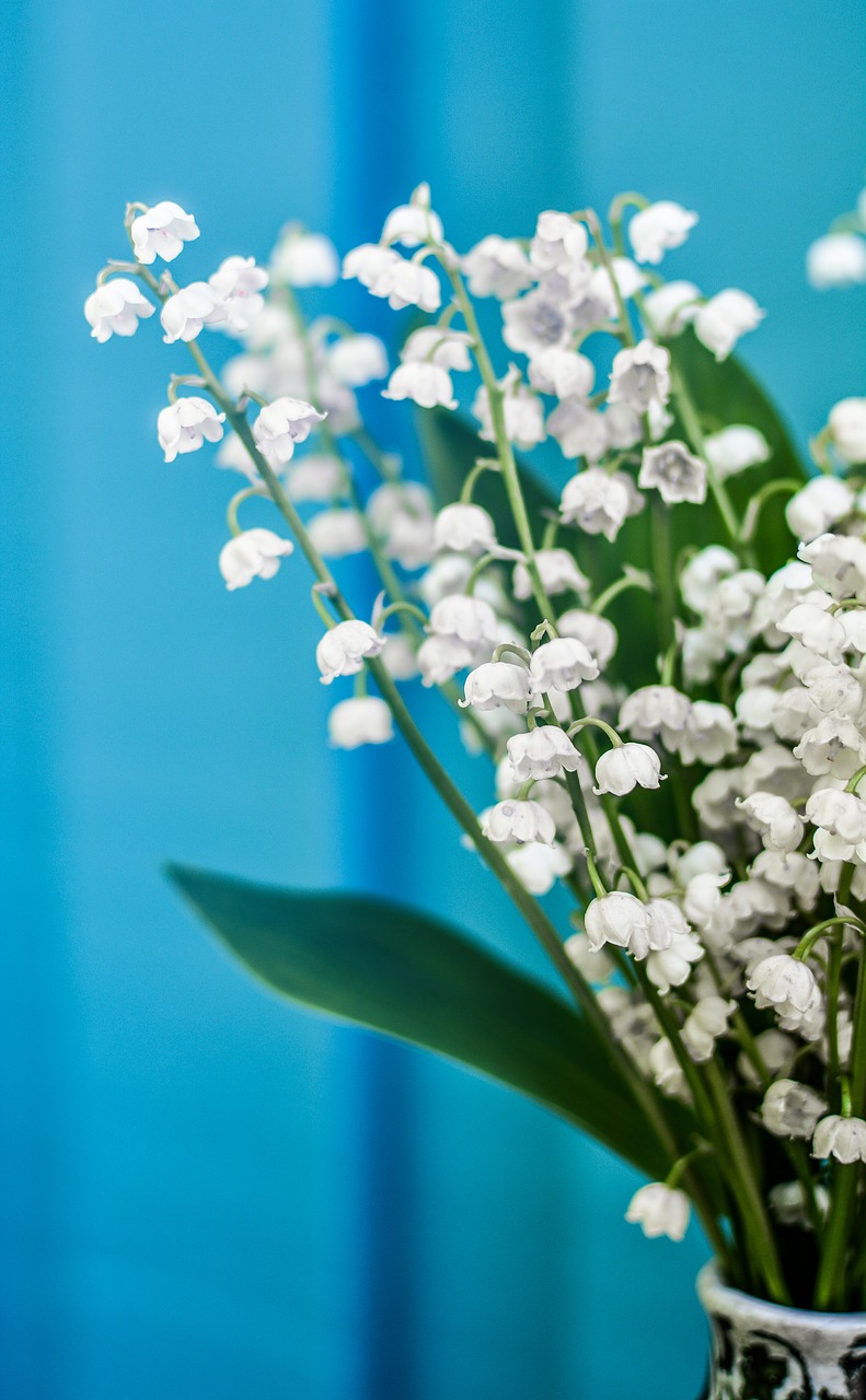 Image - lily of the valley flower pot