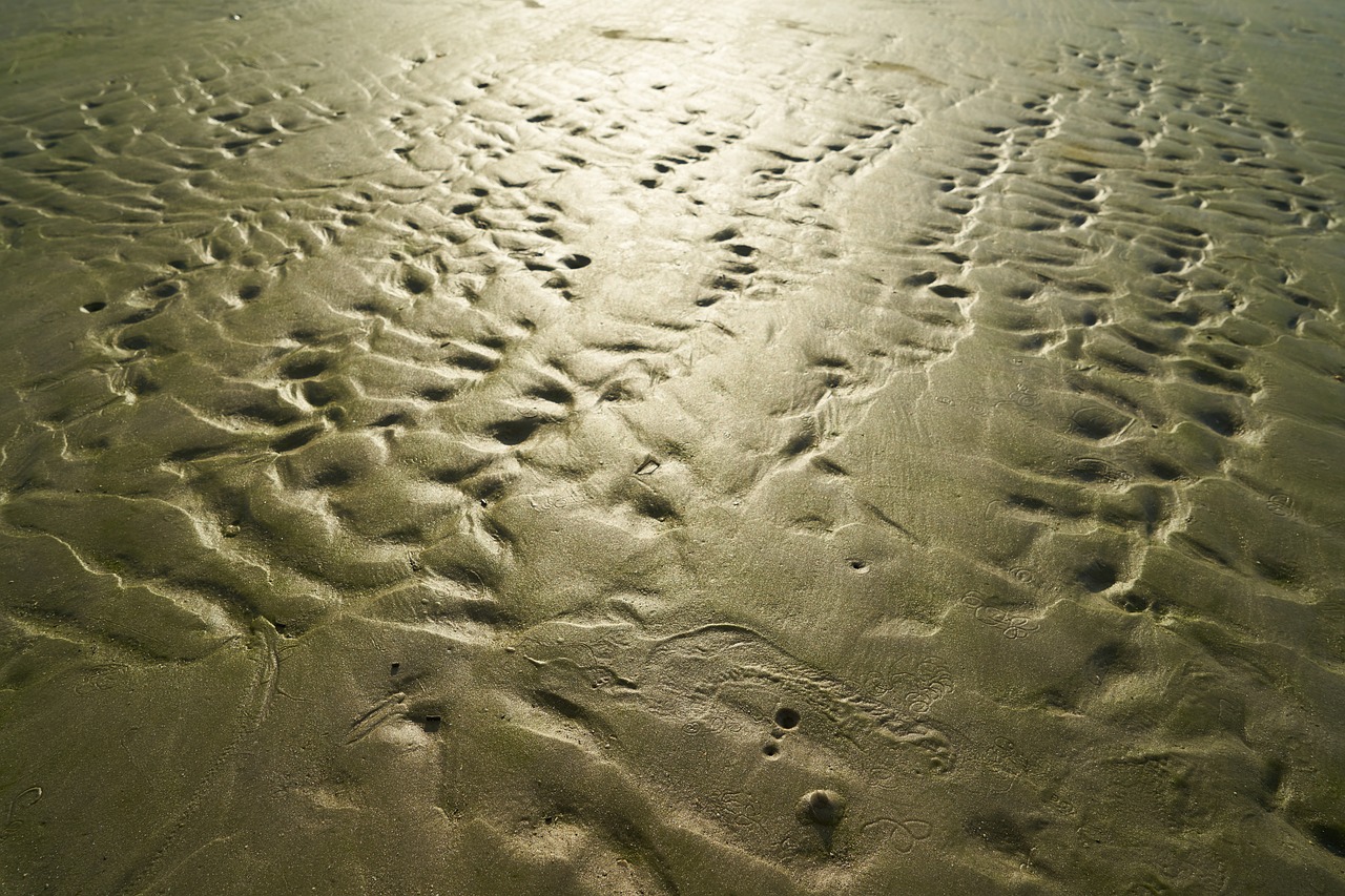 Image - sand texture light abstract nature